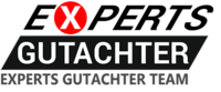 Experts Gutachter